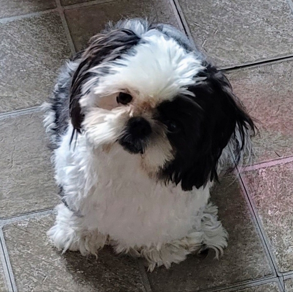 MAKE ME AN OFFER!! - Picture 2 of 2